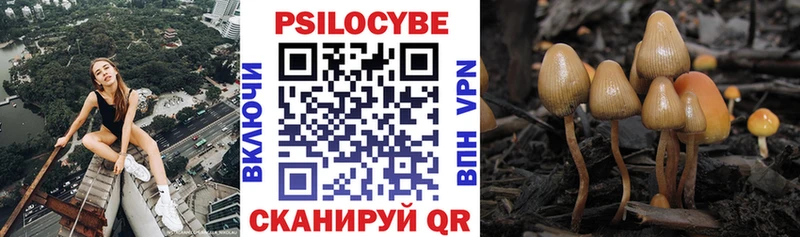 маркетплейс Telegram  MEGA зеркало  Тутаев  Галлюциногенные грибы GOLDEN TEACHER 